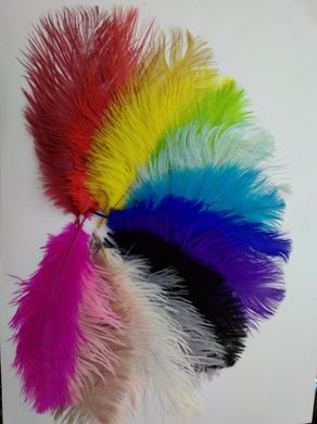 Пір'я страусові пофарбовані, мікс з 11 кольорів, 150-190 мм.